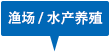 漁場 / 水產養殖