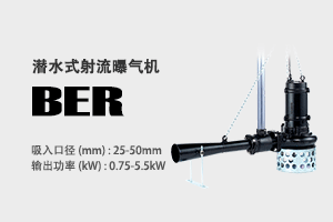 BER