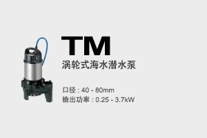 TM Submersible Seawater Pumps Vortex